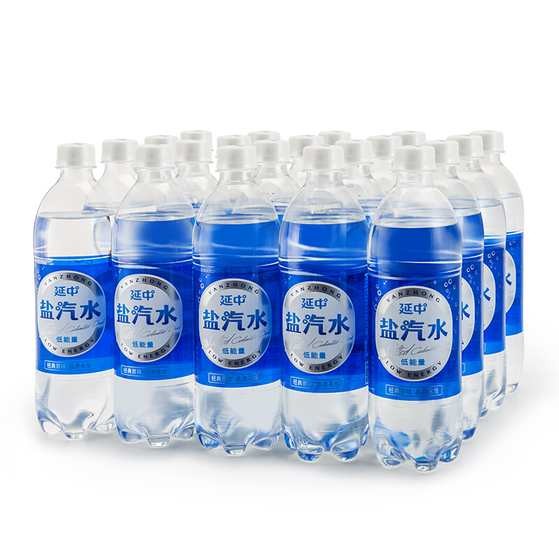 延中YZYQS600ml盐汽水600ml/20瓶/箱