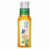 农夫山泉 苏打天然水饮品 日向夏橘风味 410ml*15瓶 整箱装